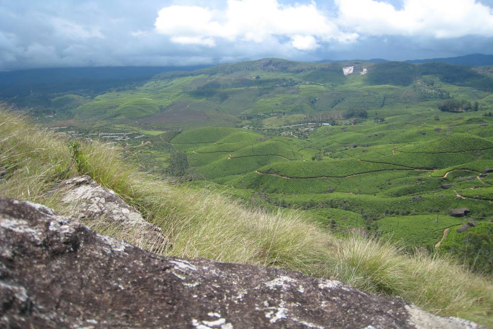 Lockhart Gap Road View Point